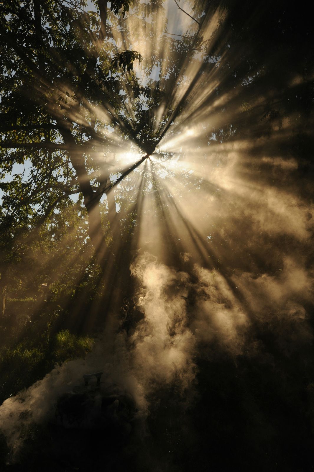 How a Life-Changing Diagnosis Can Affect Your Identity
